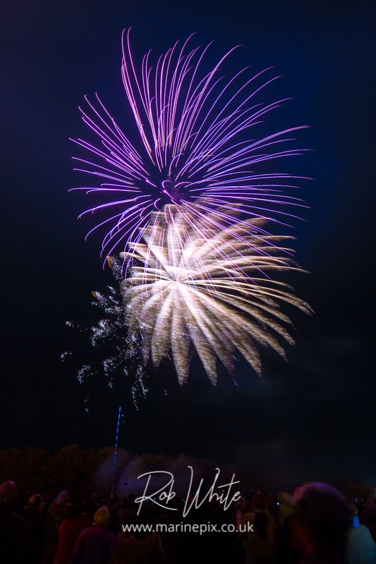 purple and gold fireworks